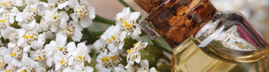 How is Essential Oil Extracted?