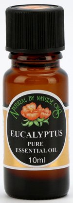 EUCALYPTUS (Eucalyptus globulus) 
