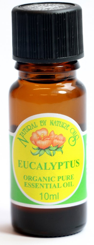 ORGANIC EUCALYPTUS (Eucalyptus globulus) 